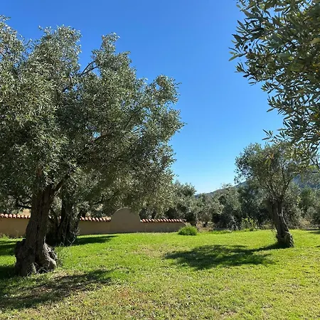 Villa In *